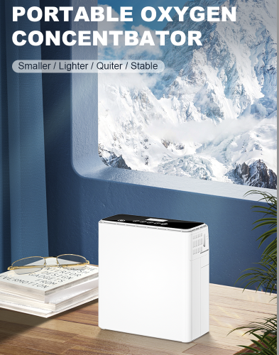 Portable 1L- 6L Continuous Flow Lightweight Mini Oxygen Concentrator With 4 Hours Battery I Model M600